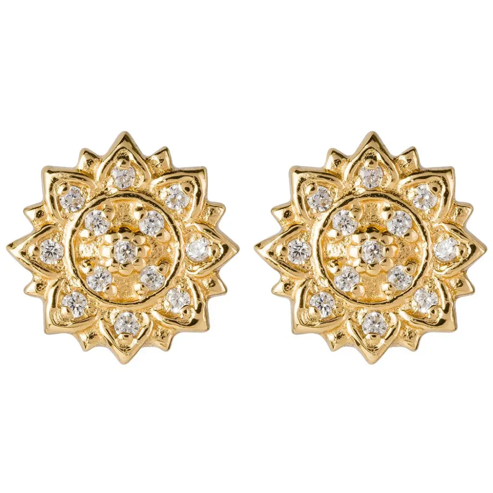 Aditi Earrings in Yellow Gold